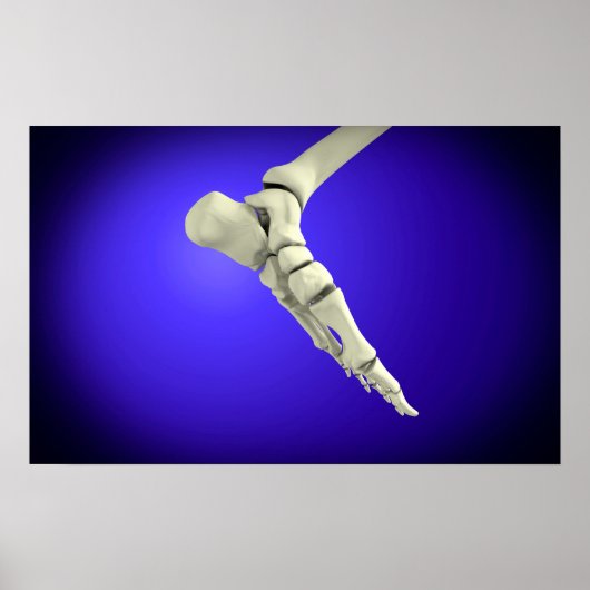 人間のX線ビュー2足 ポスター (正面)