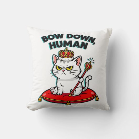 人間を屈服させる クッション (正面)