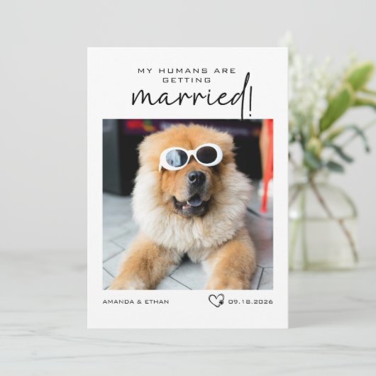 人間カスタムが結婚しようとしている写真 セーブザデート (スタンド正面)