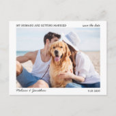 人間シンプルが結婚するペットの写真結婚を撮る 案内ポストカード (正面)