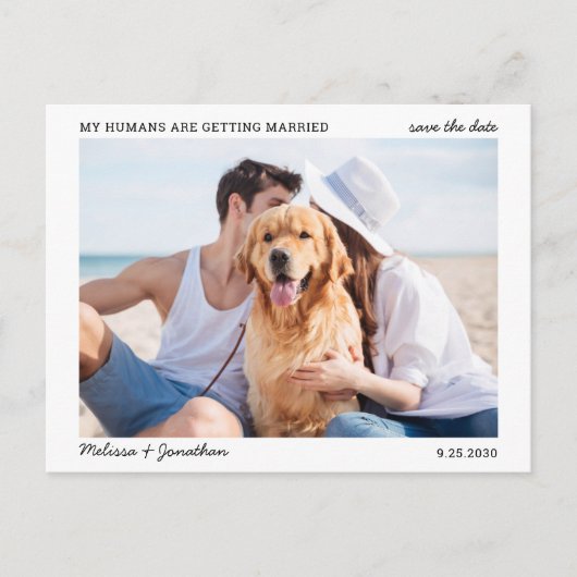 人間シンプルが結婚するペットの写真結婚を撮る 案内ポストカード (正面)