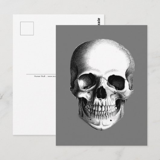 人間スカルはがき ポストカード (正面/裏面)