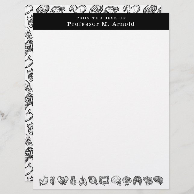 人間モダン解剖学のスケッチパーソナライズされた レターヘッド (正面/裏面)