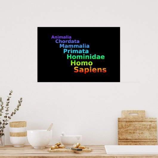 人間分類ポスター ポスター (キッチン)