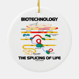 人間工学生命(成長したRNA)の接続 セラミックオーナメント