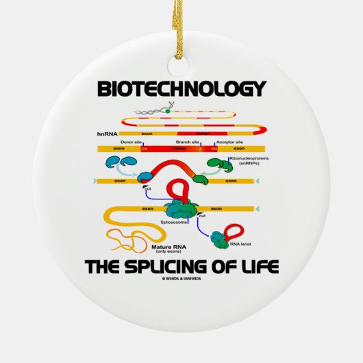 人間工学生命(成長したRNA)の接続 セラミックオーナメント (裏面)