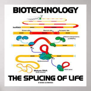 人間工学生命(成長したRNA)の接続 ポスター