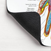 人間手および手首の解剖図表 マウスパッド (コーナー)