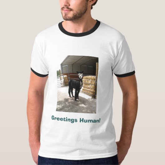 人間挨拶! アルパカのワイシャツ Tシャツ (正面)