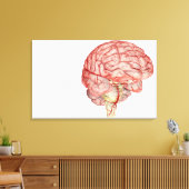 人間描写の脳のリアリスティック キャンバスプリント (インサイチュ (リビング))