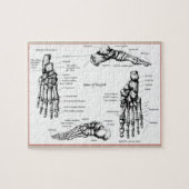 人間足の骨 ジグソーパズル (横)