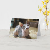 人間関係グリーティングカード カード (黄色い花)