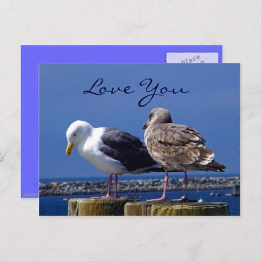 人間関係_ ポストカード (正面/裏面)