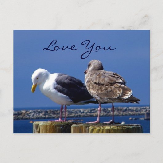 人間関係_ ポストカード (正面)