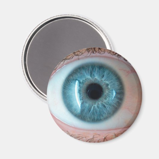 人間 マグネット (正面/裏面)