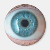 人間 マグネット (正面)