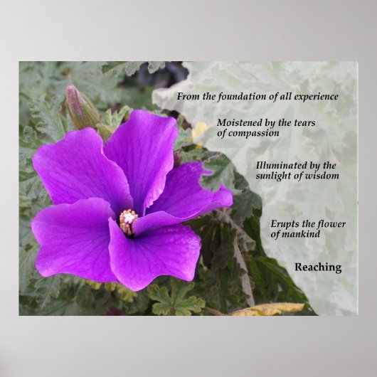 人類の花 ポスター (正面)