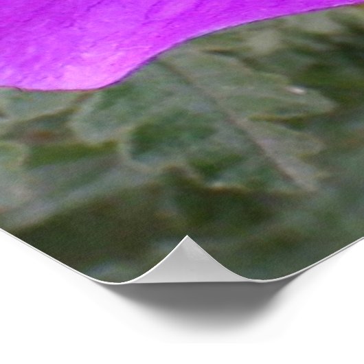 人類の花 ポスター (角)