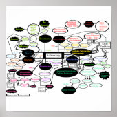 人類学地図 ポスター (正面)