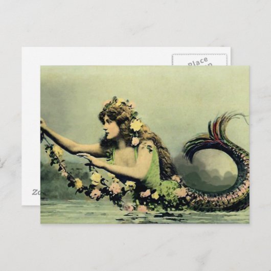 人魚とバラ ポストカード (正面/裏面)