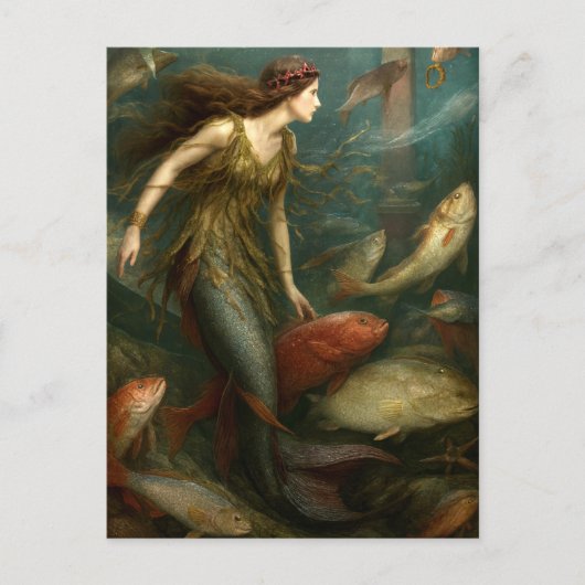 人魚と海の中の魚 ポストカード (正面)