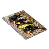 人魚と海賊のダニ ノートブック (右側)