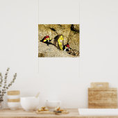 人魚と海賊のポスター ポスター (キッチン)