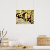 人魚と海賊のポスター ポスター (キッチン)