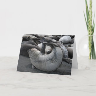 人魚のシール カード