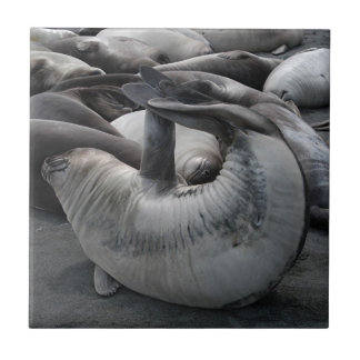 人魚のシール-タイル タイル