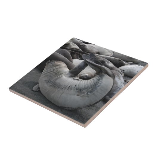 人魚のシール-タイル タイル (側面)