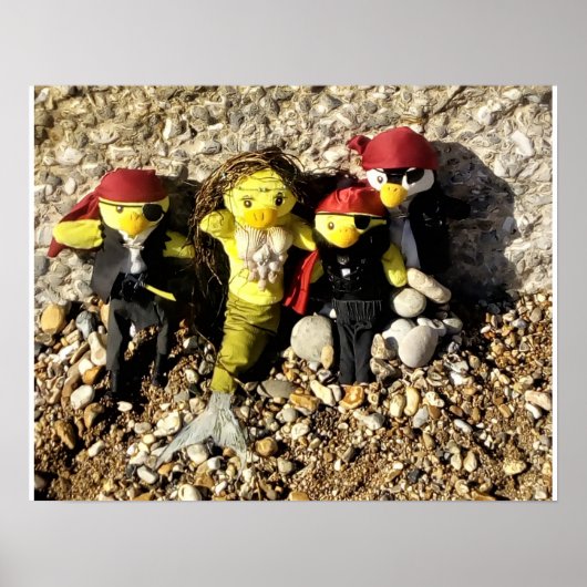 人魚のダニと海賊のポスター ポスター (正面)