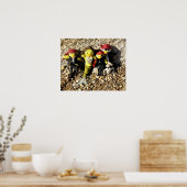 人魚のダニと海賊のポスター ポスター (キッチン)