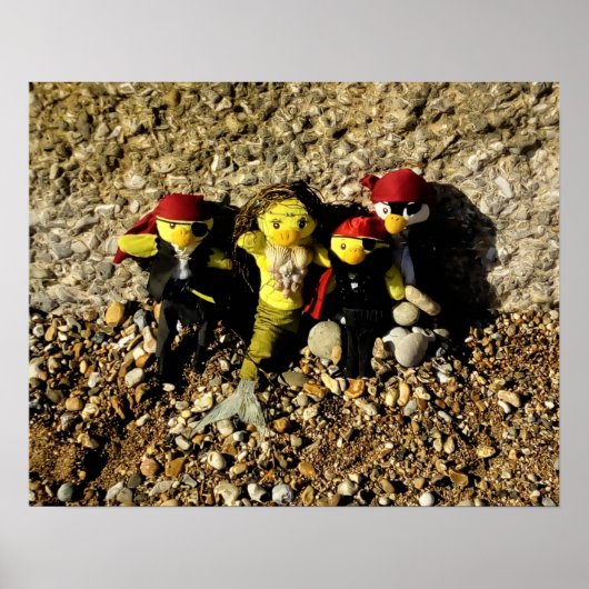 人魚のダニと海賊のポスター ポスター (正面)