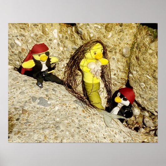 人魚のダニと海賊のポスター ポスター (正面)