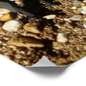 人魚のダニと海賊のポスター ポスター (角)