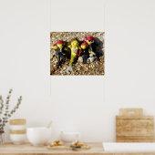 人魚のダニと海賊のポスター ポスター (キッチン)