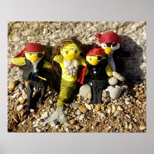 人魚のダニと海賊のポスター ポスター (正面)