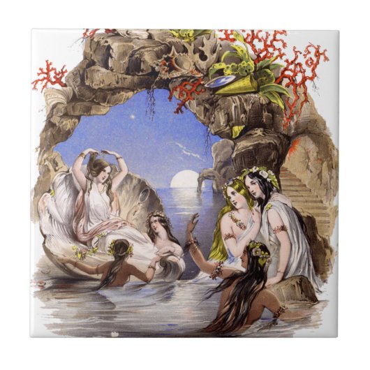 人魚の入江 タイル (正面)