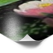 人魚の夢 フォトプリント            (角)