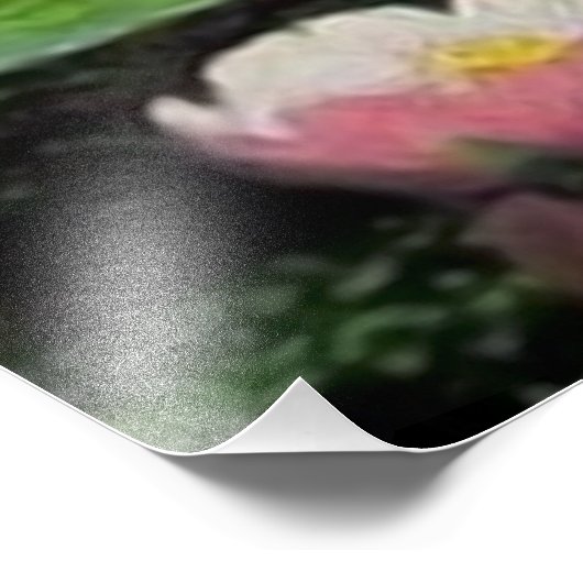 人魚の夢 フォトプリント            (角)