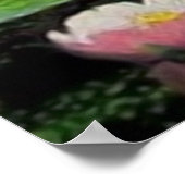 人魚の夢 ポスター (角)