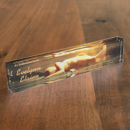 人魚の月のビーチと海 デスクネームプレート