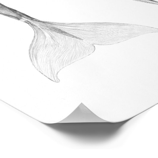 人魚の筋肉組織 ポスター (角)