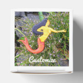 人魚シレナ フェイバーボックス (上部)