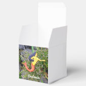 人魚シレナ フェイバーボックス (オープン)