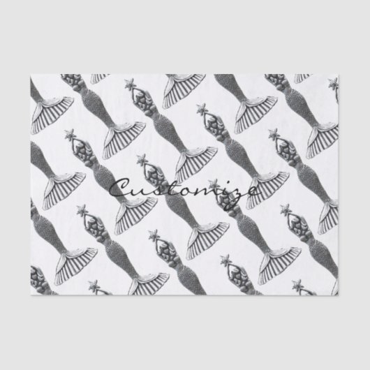 人魚ホールディングスターズサンダー_コーブ 薄葉紙 (正面)