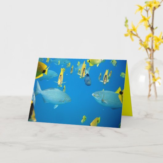 人魚 カード (黄色い花)