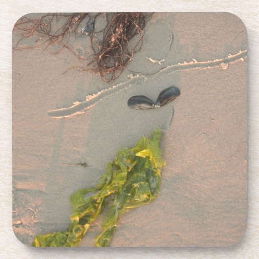 人魚 コースター (正面)