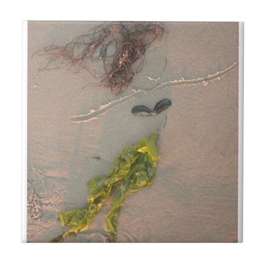 人魚 タイル (正面)